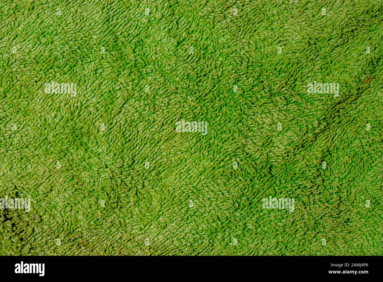Bright green texture with a pattern. Background with copy space Stock Photo