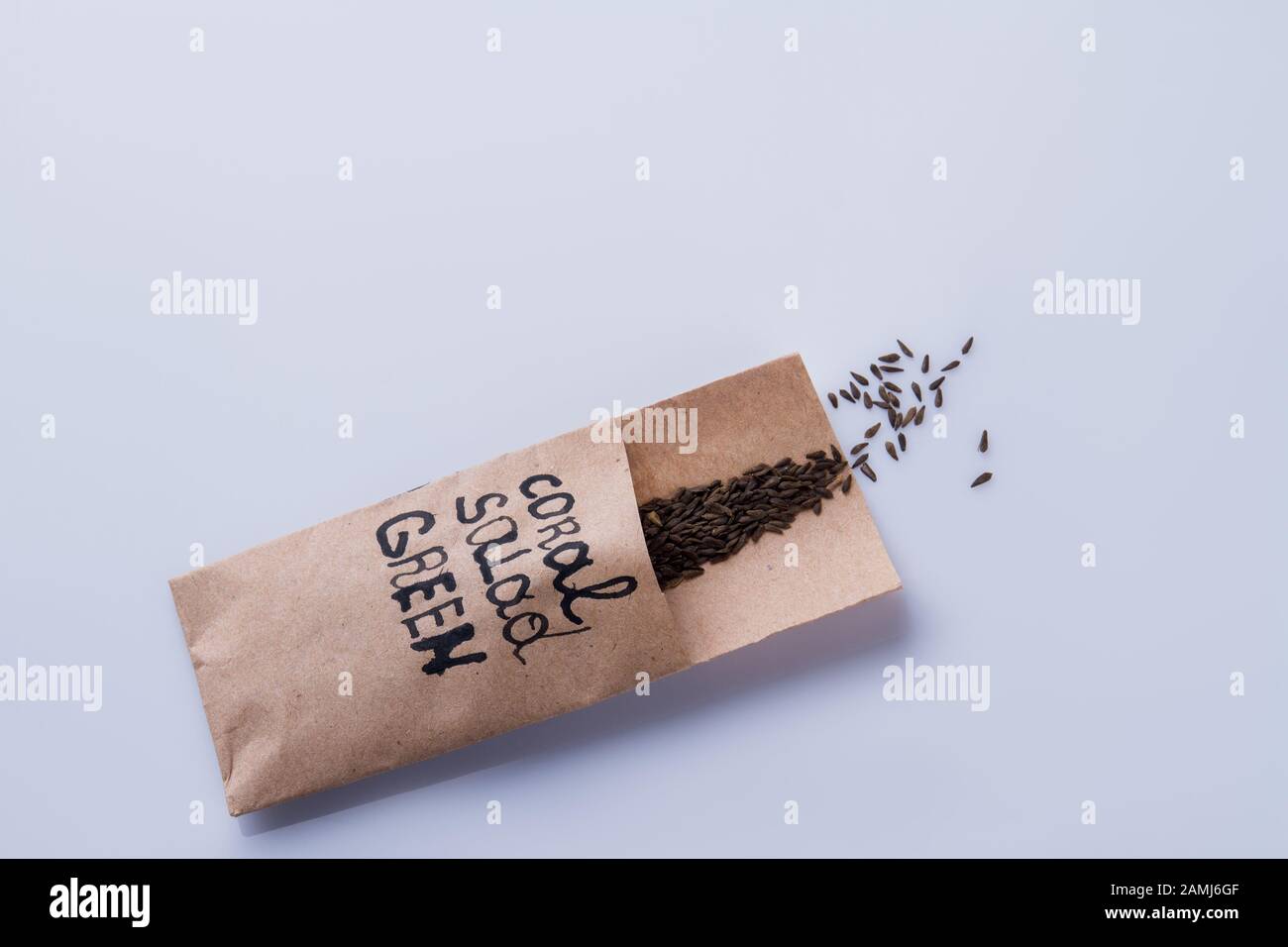 Pack of black oat grain seeds. Stock Photo
