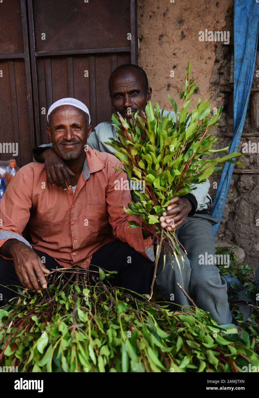 Page 2 Khat Qat High Resolution Stock Photography And Images Alamy