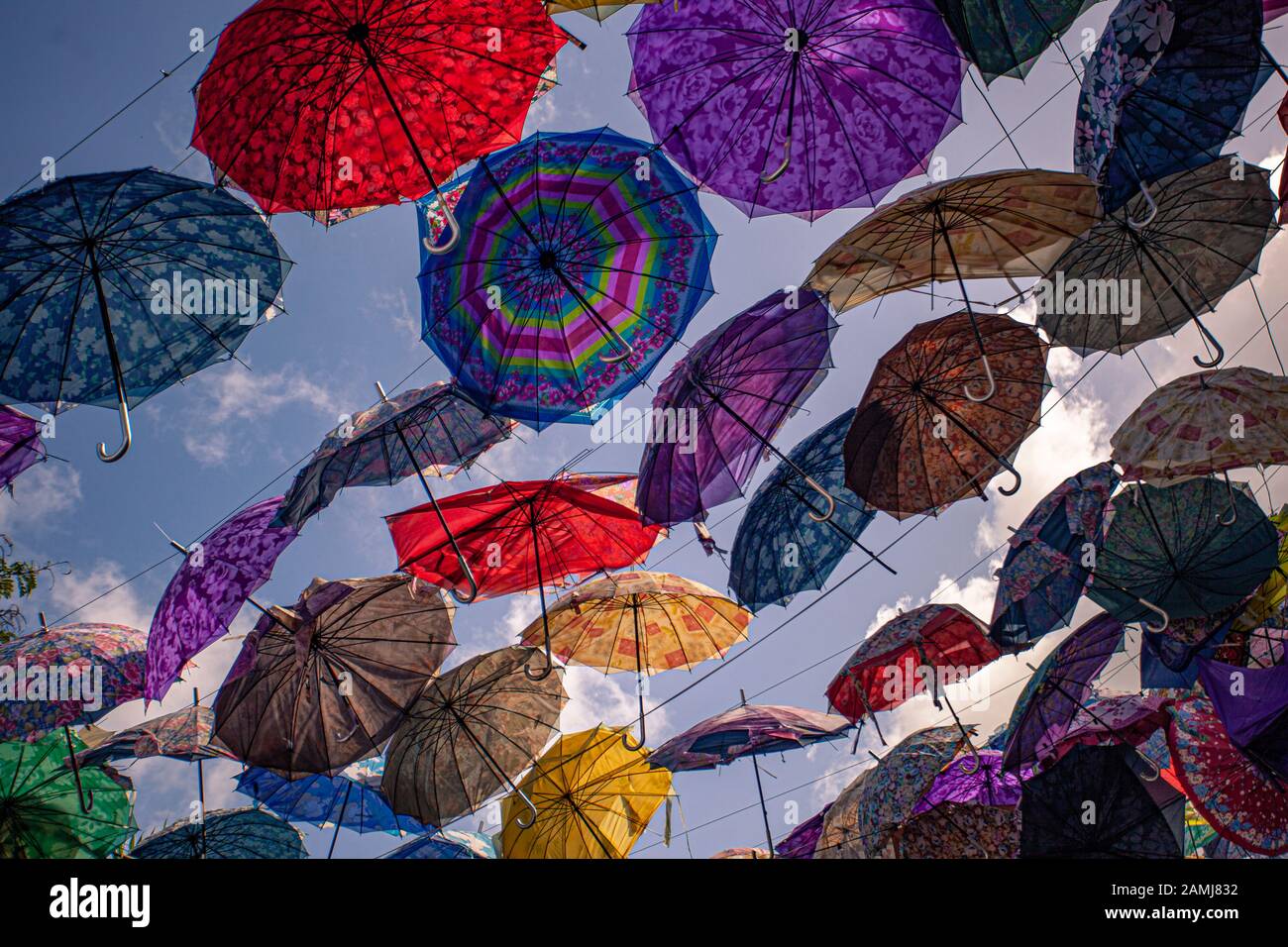 Colored umbrellas suspended in the air Stock Photo Alamy