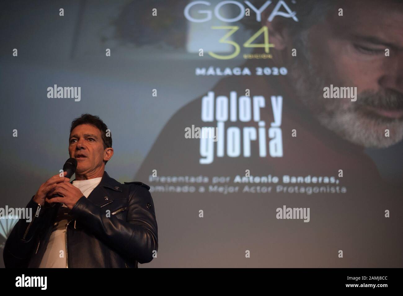 Spanish actor and director Antonio Banderas, who was nominated to receive the Spanish Goya Award and Academy Award of the best actor speaks during a promotional event to presents the screening of the film "Dolor y Gloria" (Pain and Glory) directed by the Spanish director Pedro Almodovar at Albeniz Cinema, as part of activities of the Spanish Film Academy's Goya Awards ceremony. The Malaga city welcomes to Goya Awards Ceremony (which is celebrated on 25 January) with photographic exhibitions and previous screenings of films nominated to receive the Goya Award of the best film. Stock Photo