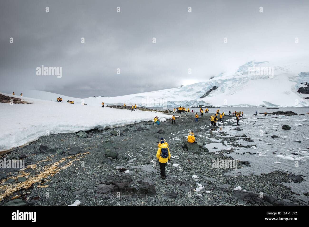 Tourists at gentoo penguin colony, Mikkleson Harbour, Antarctica Stock Photo