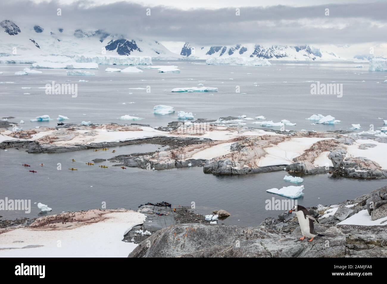Useful Island, Antarctic Peninsula, Antarctica Stock Photo