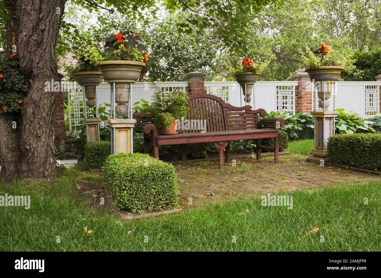 Brown Lutyens wooden sitting bench on paving stone patio bordered by Buxus 'Green Gem' - Boxwood shrub hedges, pedestal planters with red flowers. Stock Photo