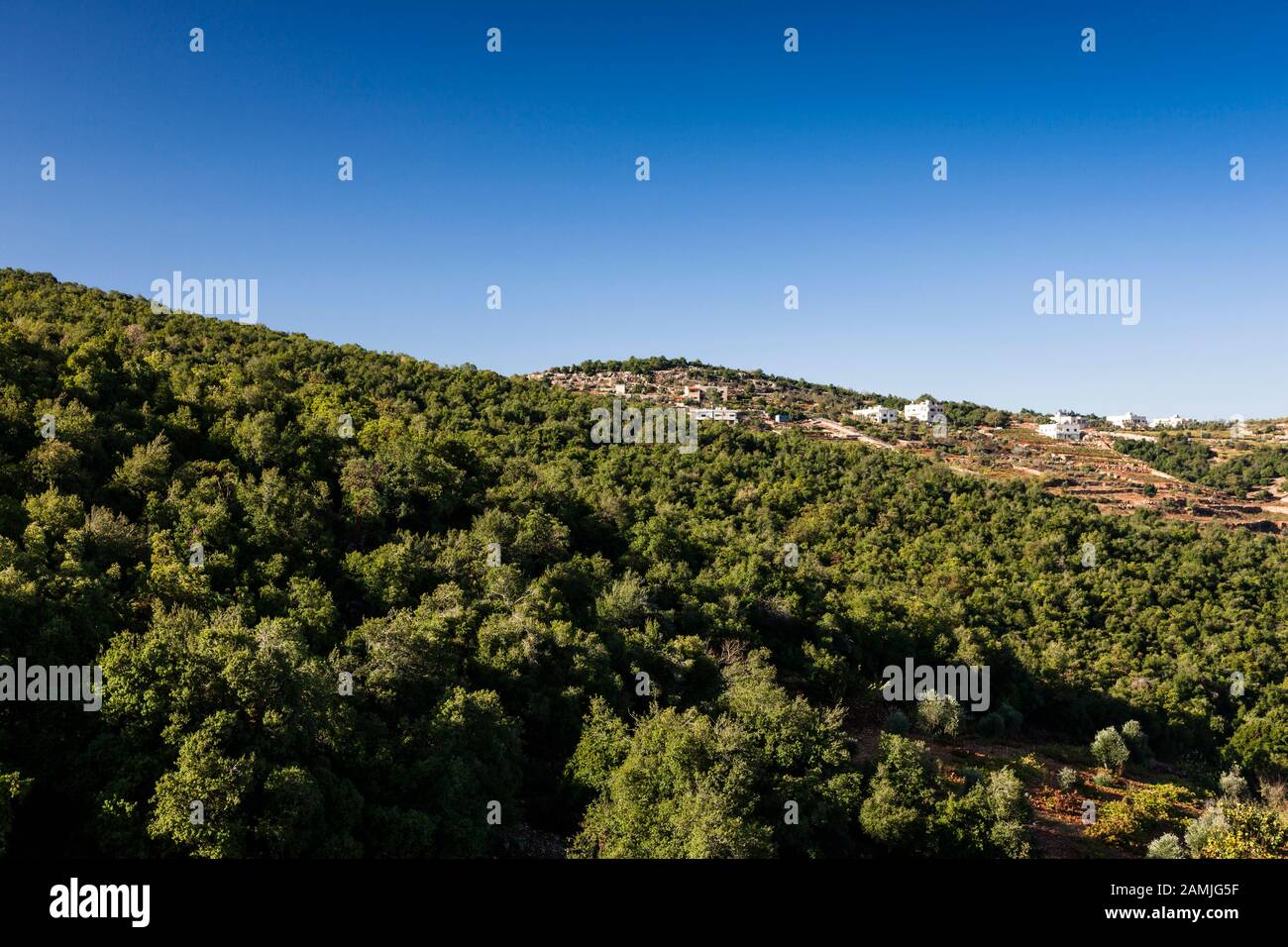 Morning landscape of green forest and mountain range, near Ajloun, also Ajlun, high land, Jordan, middle east, Asia Stock Photo