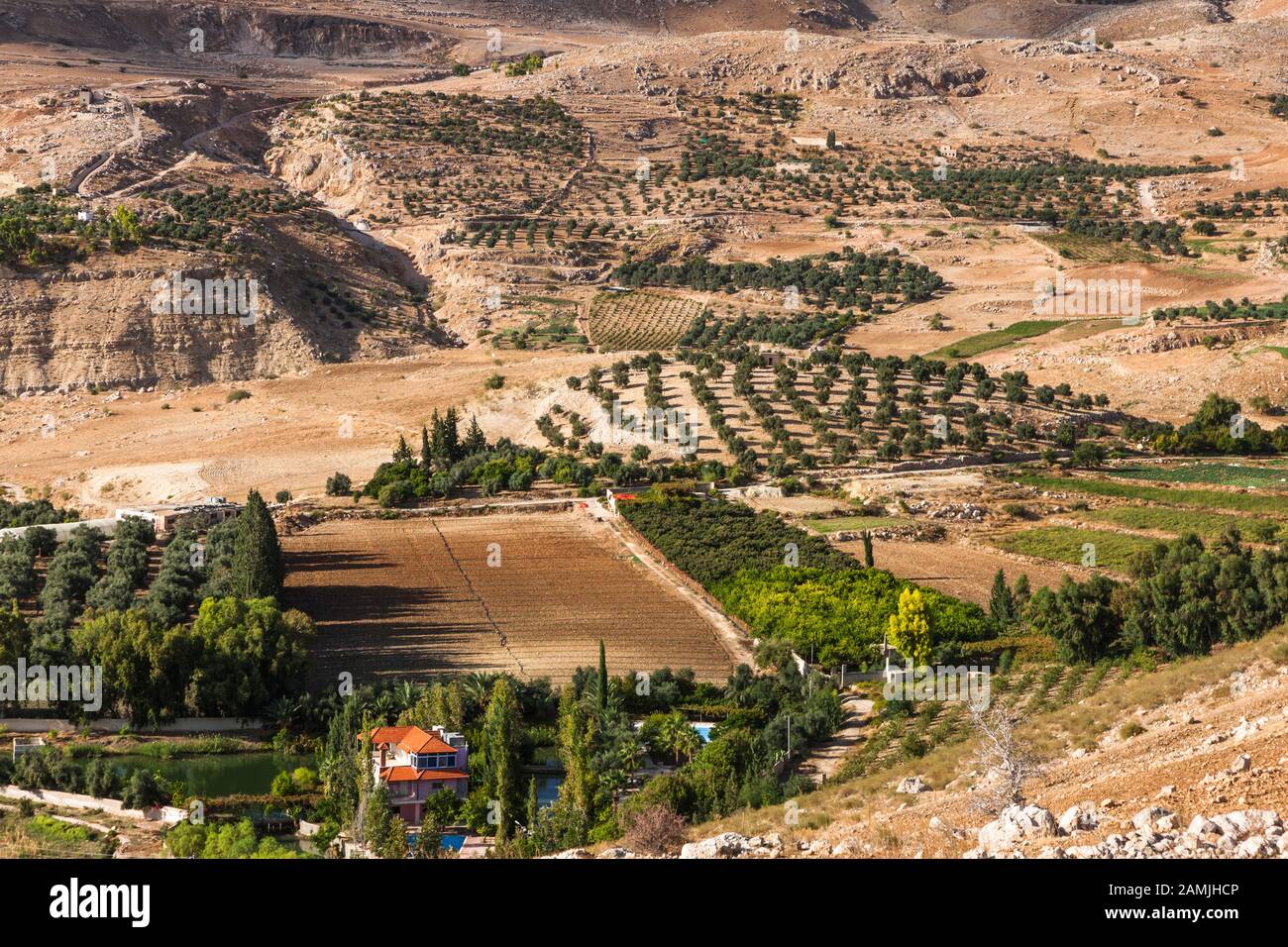 Morning view of Jordan valley, Jordan Rift Valley, near Ajloun, also ajlun, Jordan, middle east, Asia Stock Photo