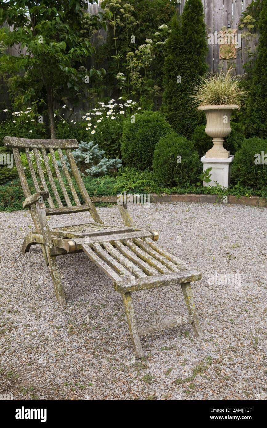 Old teak wood transat lounge chair covered with Bryophyta - Green Moss and lichen growth on gravel patio and beige pedestal planter with Pennisetum. Stock Photo