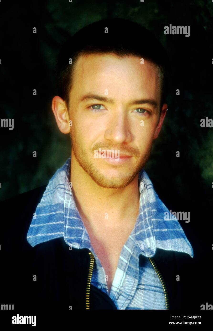 Los Angeles, California, USA 19th May 1995 (Exclusive) Actor David