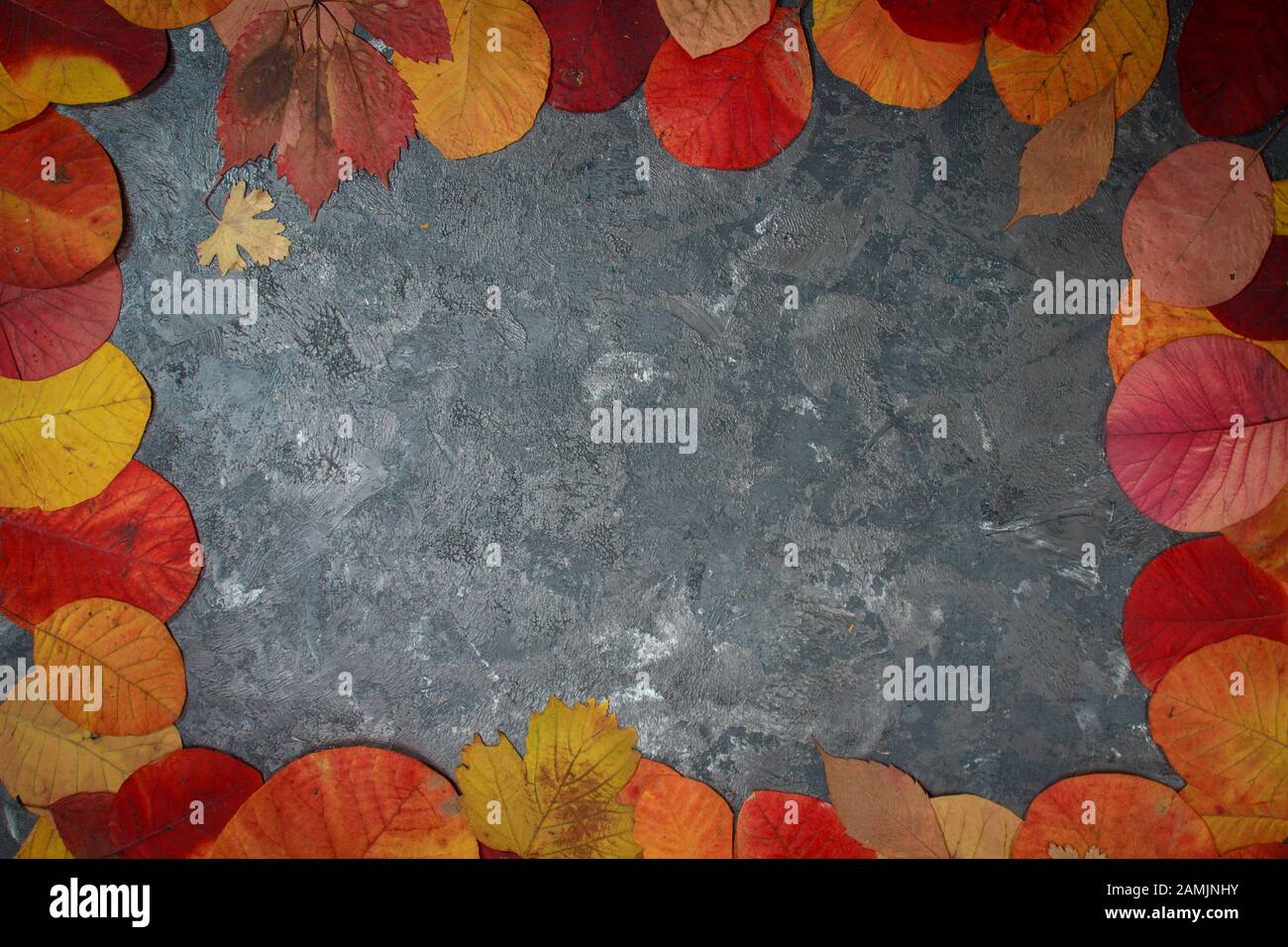 colored background with autumn leaves with place for text Stock Photo ...