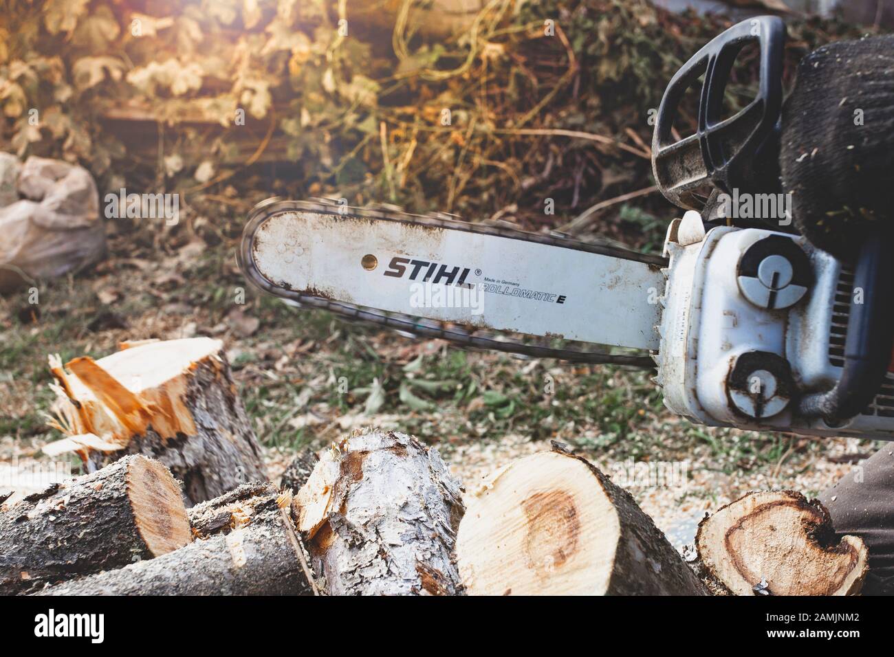 Kiev region, Ukraine - 2019-10-05. A man sawing firewood with a Stihl saw, close-up. Stock Photo