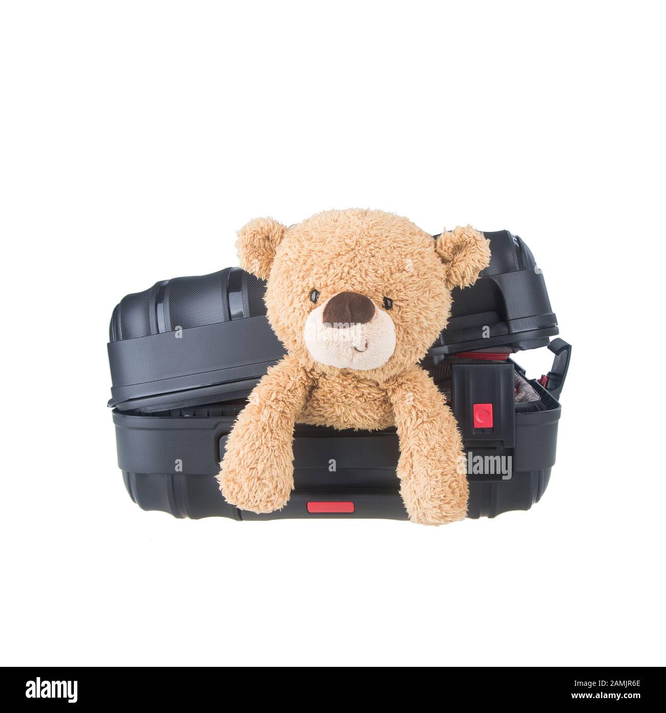 teddy bear luggage