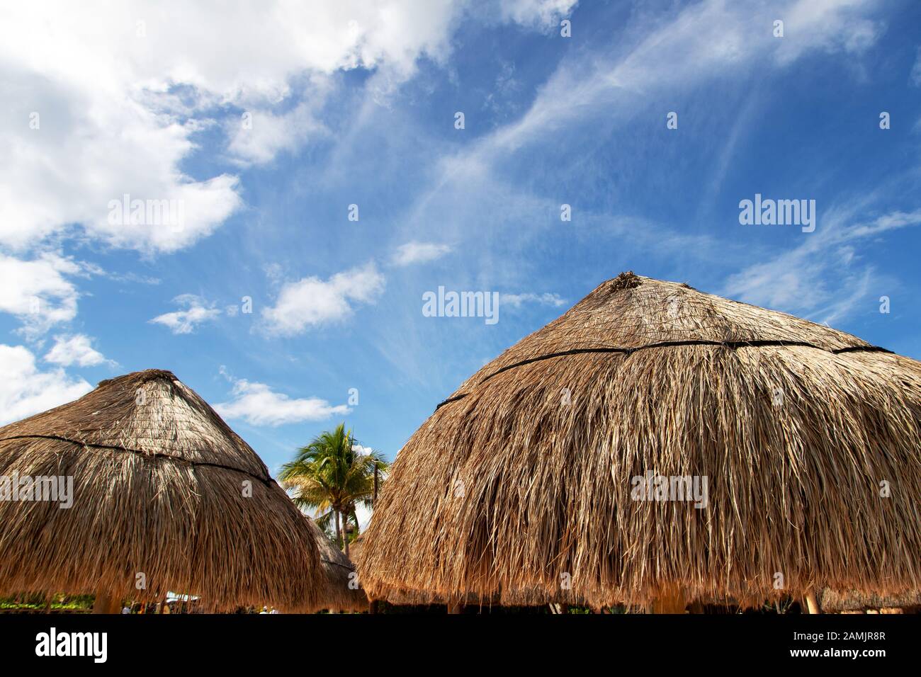 Close up of coconut palm leaf straw beach umbrella against blue skies with copy space in a Cancun beach in Mexico. Stock Photo