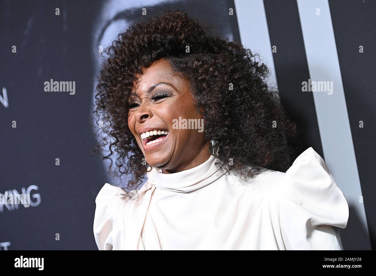 Crystal fox hi-res stock photography and images - Alamy