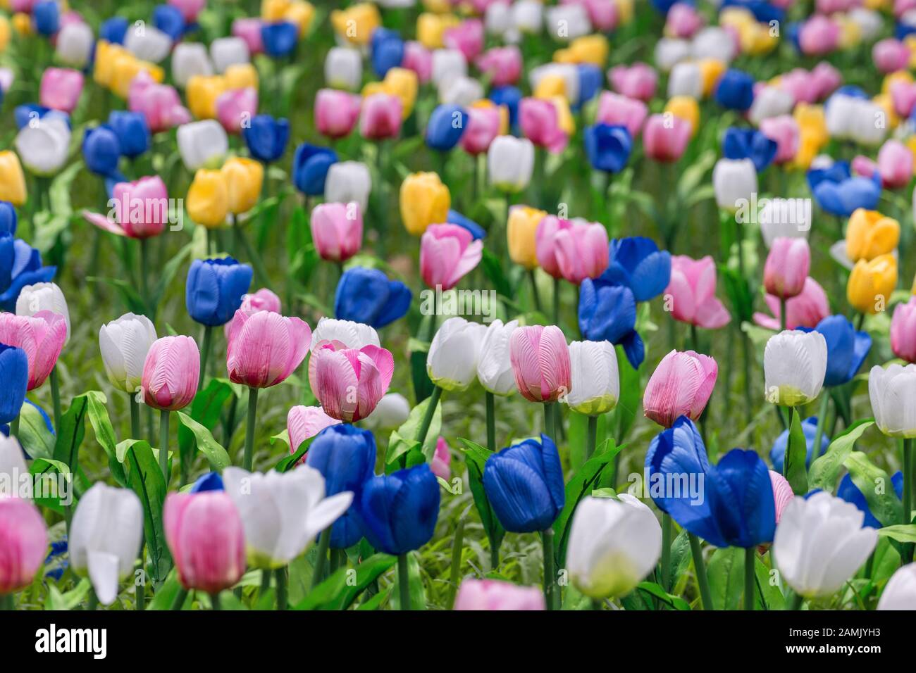 Field of artificial tulips of different colors Stock Photo