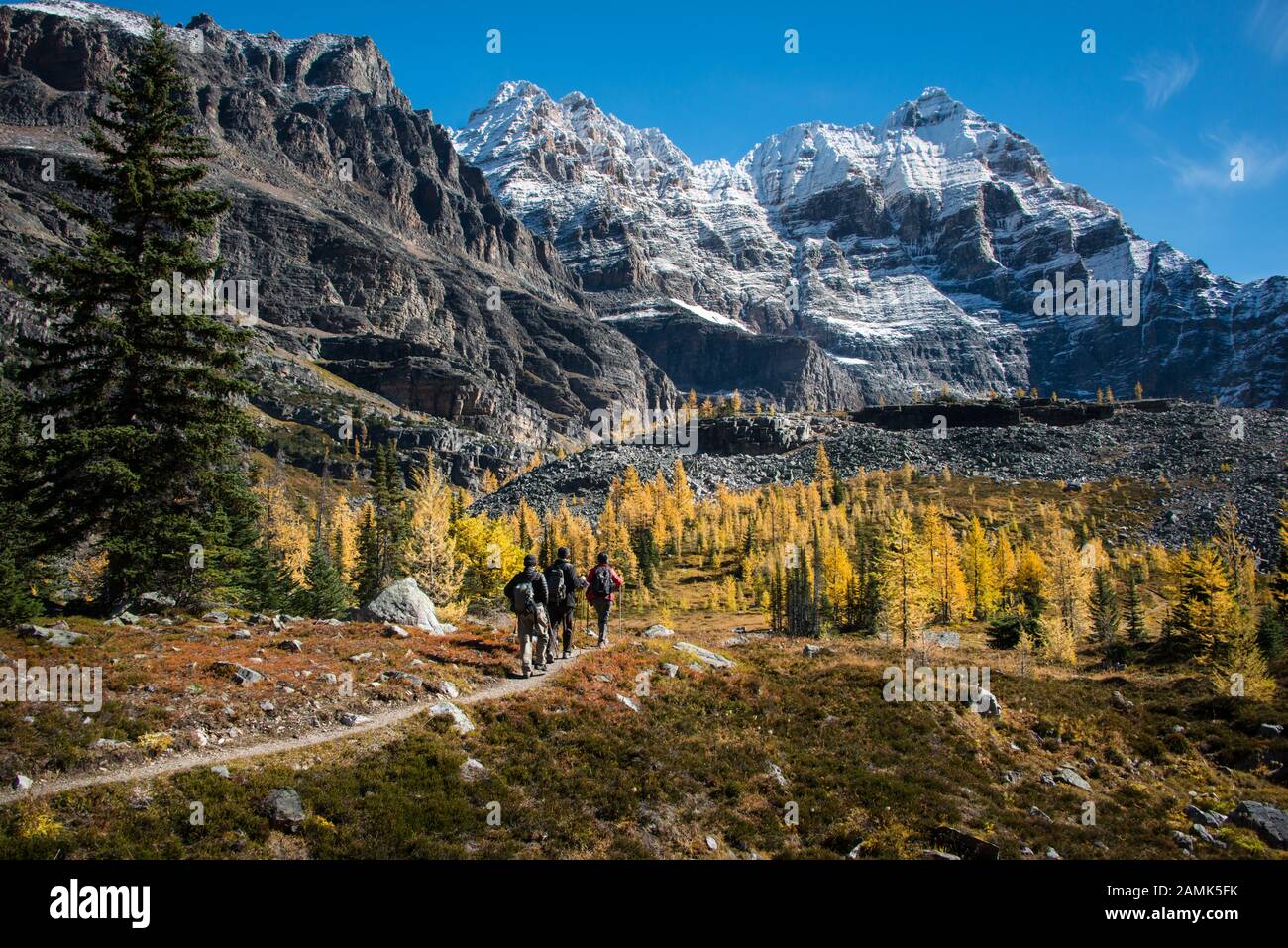 Hiking in yoho national park hi-res stock photography and images - Alamy