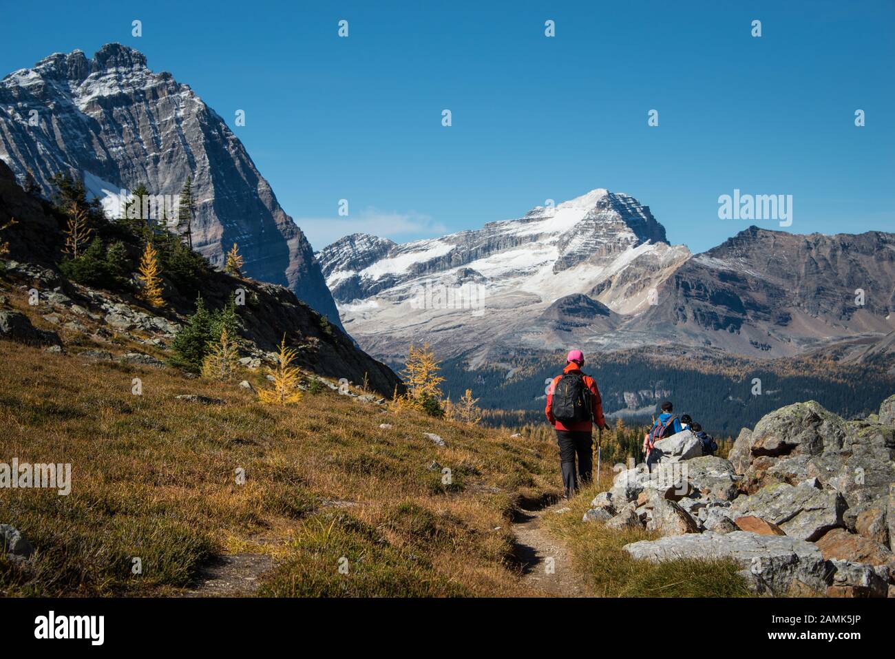Hiking In Yoho National Park High Resolution Stock Photography and ...