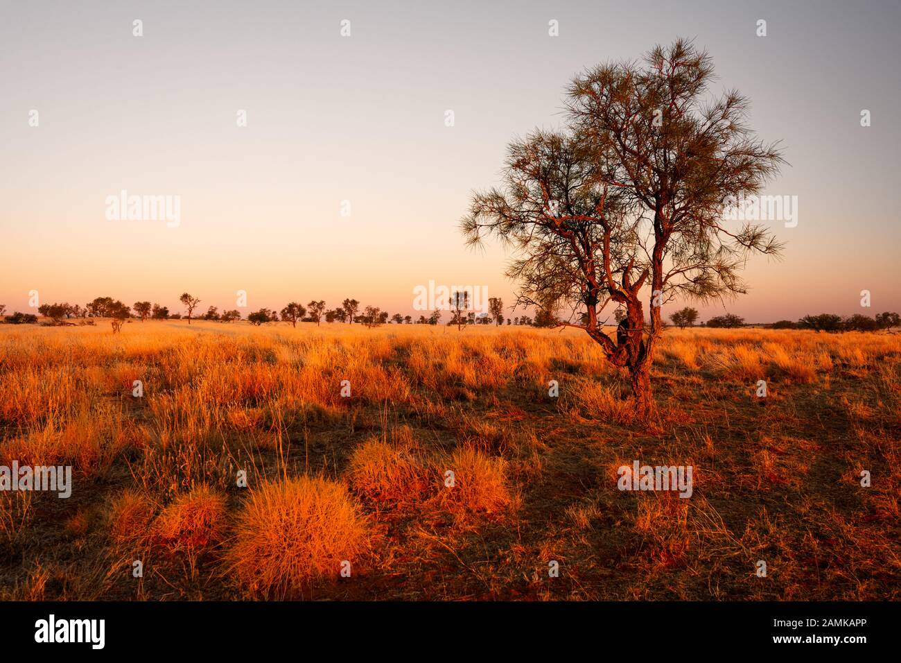 Typical Outback scenery in Queensand's Channel Country. Stock Photo