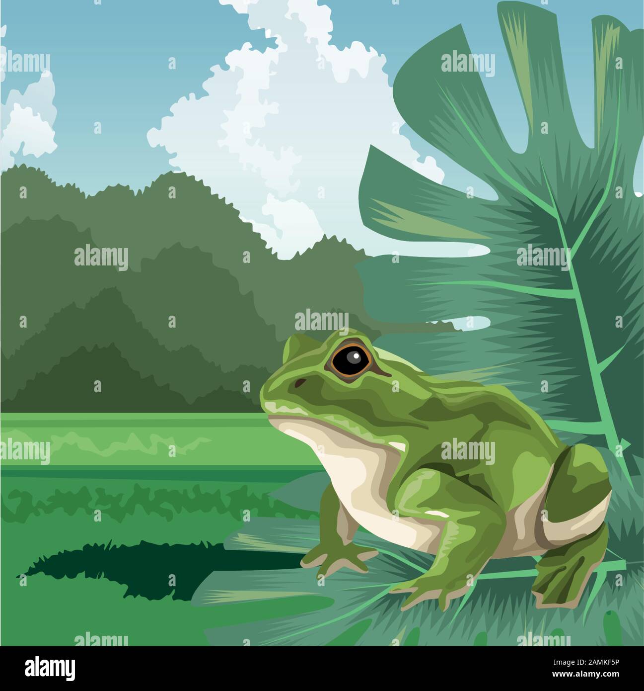 frog on leaves tropical fauna and flora landscape Stock Vector Image ...