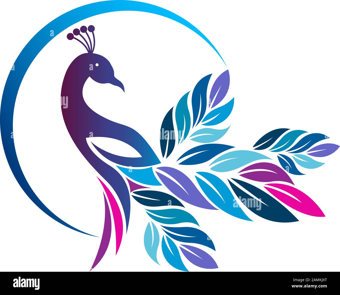 colorful-peacock-logo-stock-photo-alamy