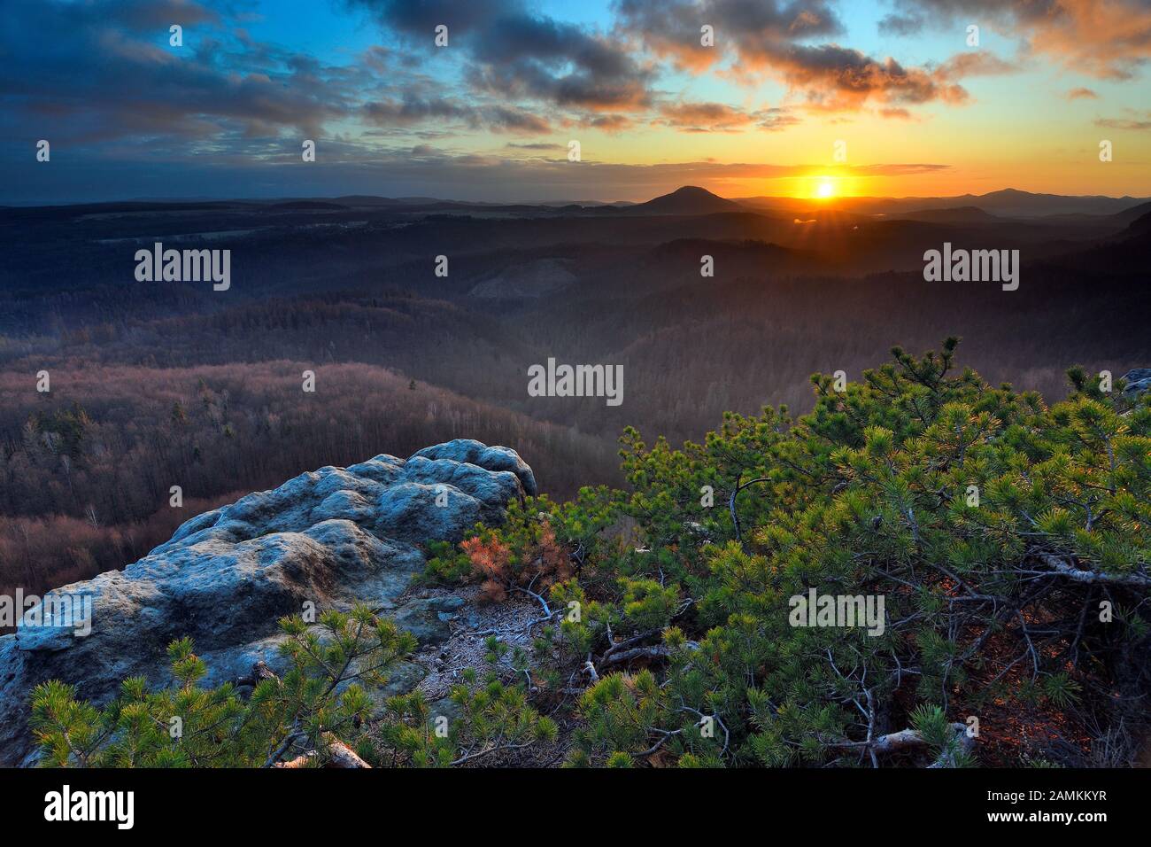 Sandstone rocky peak in the sunrise, a small bonsai pine tree on top. Stock Photo