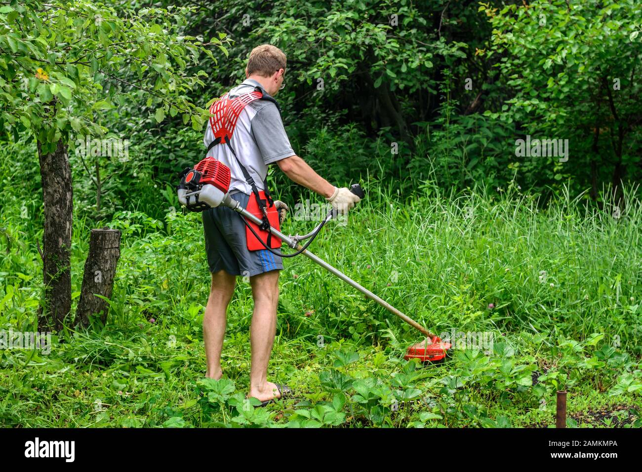 Trimming grass weeds in park hi-res stock photography and images - Alamy