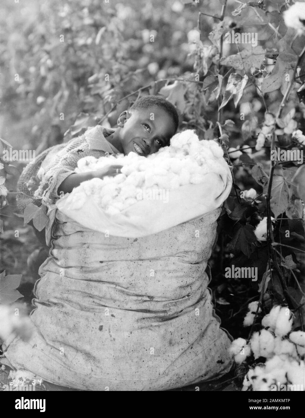 African American Child Performer poses by Cotton Sack in Cotton Field