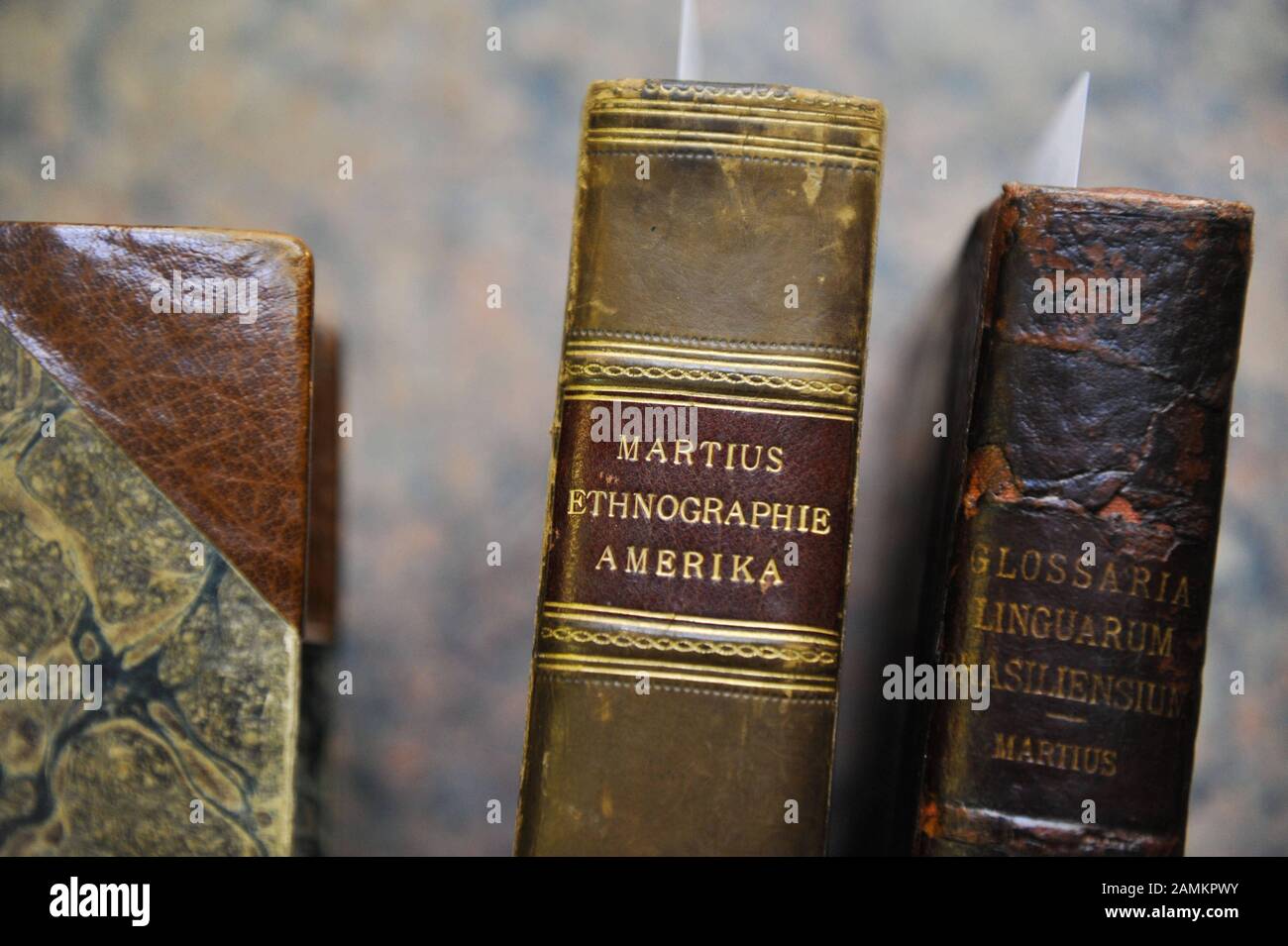 Carl Friedrich Philipp von Martius' valuable work 'Reise in Brasilien' (Journey to Brazil) with the accompanying atlas at the Zisska and Schauer auction house in Munich. [automated translation] Stock Photo