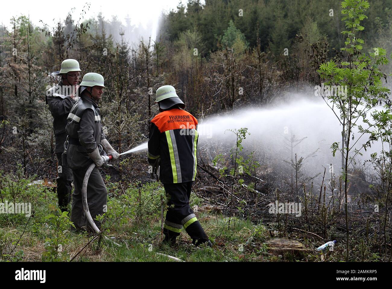 Firefighters with water hose extinguishing in the forest of Oberainried near Indersdorf. [automated translation] Stock Photo