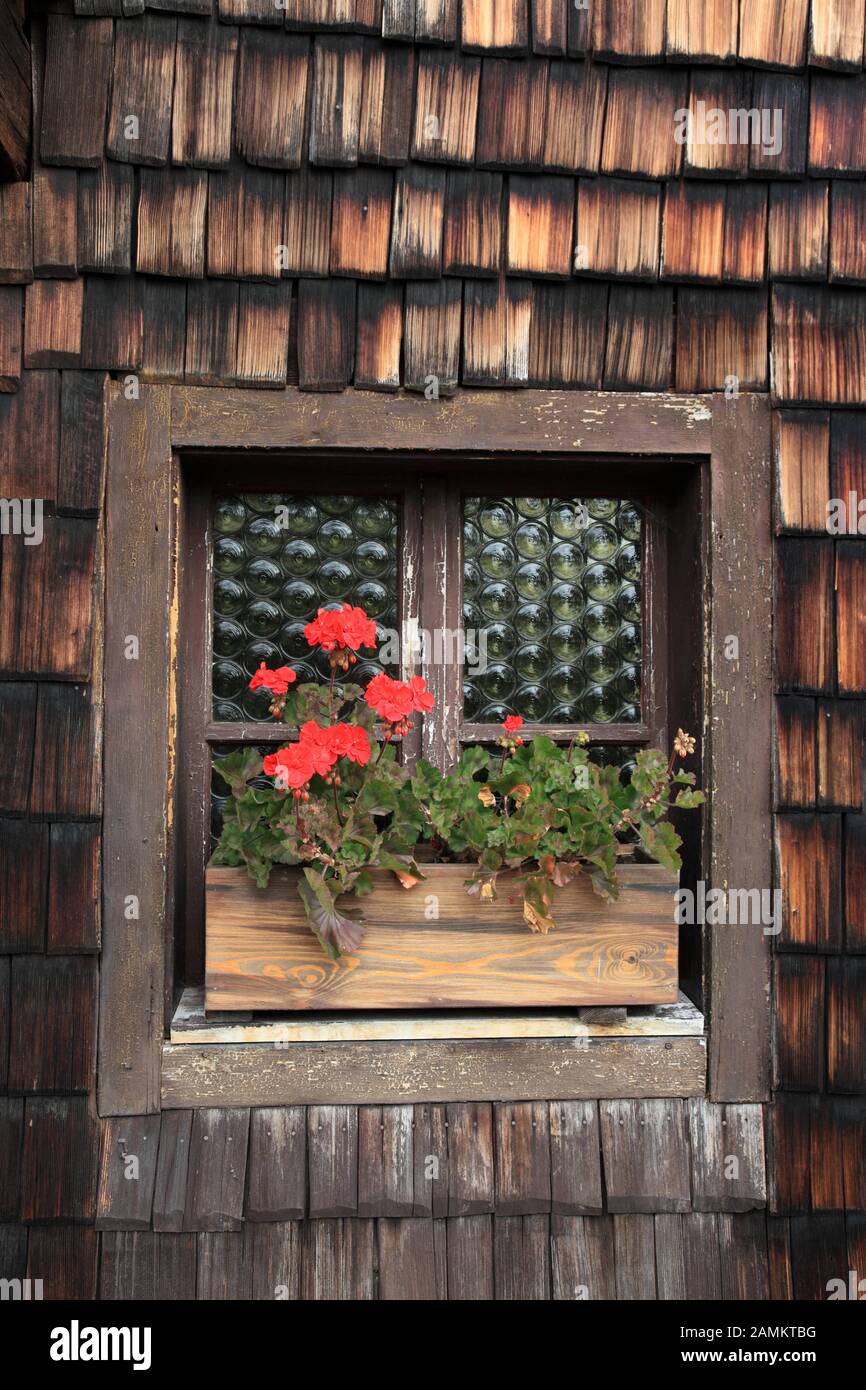 Window with geraniums in the farmhouse museum Lindberg near Zwiesel, Bavarian Forest, Bavaria, Germany [automated translation] Stock Photo