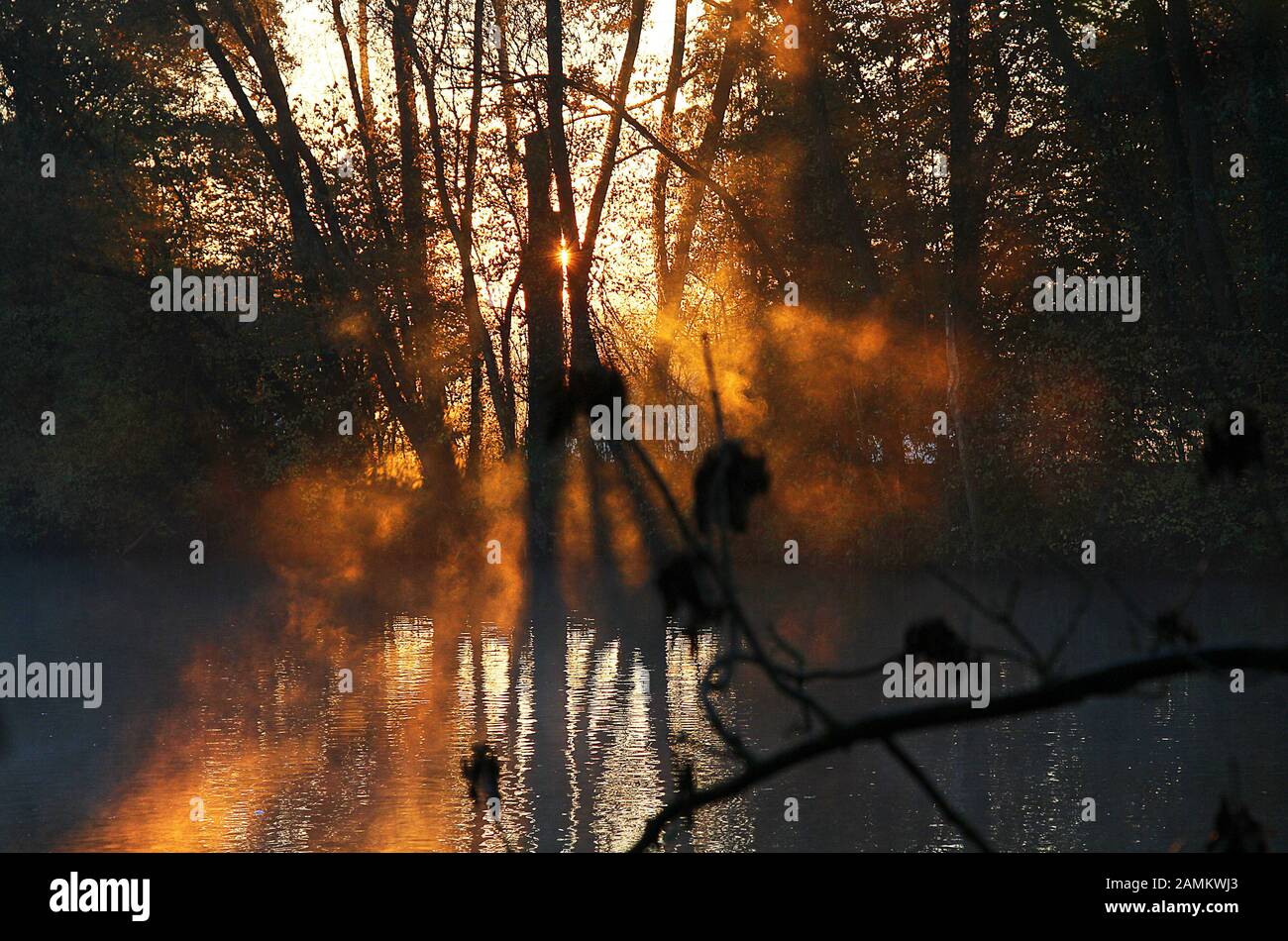 Morning mood in autumn at the Amper near Mitterndorf. [automated translation] Stock Photo
