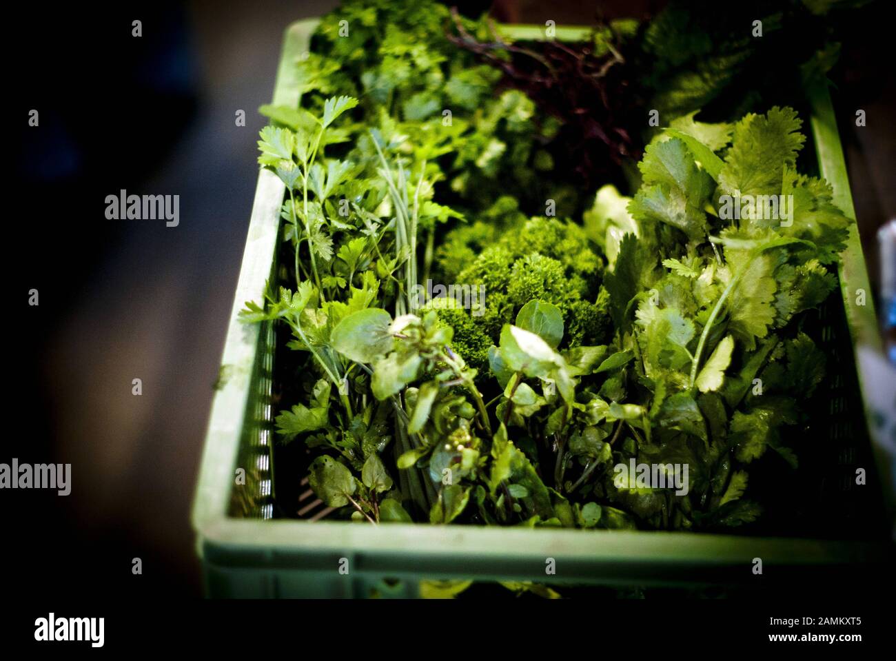 Farmers Marketing Their Products Hi res Stock Photography And Images farmers-marketing-their-products-hi-res-stock-photography-and-images