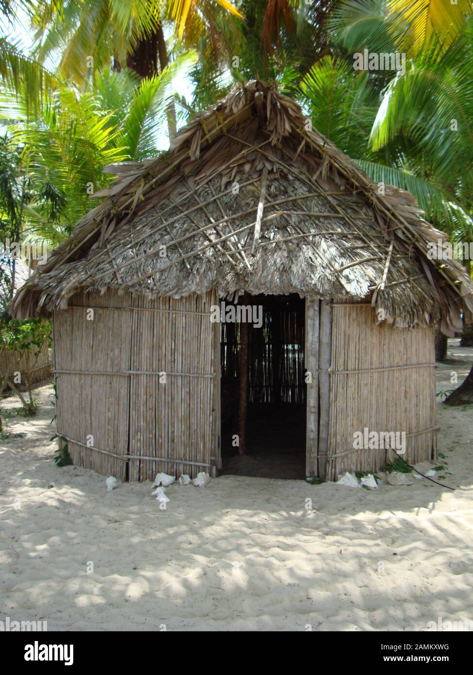 Home of the Kuna Yala Indians. Cabin in palm grove on San Blas Island