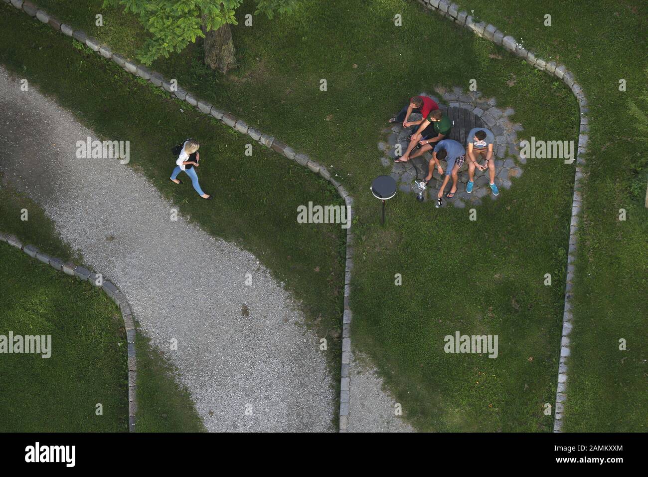 Seidel Stock Photos Seidel Stock Images Alamy