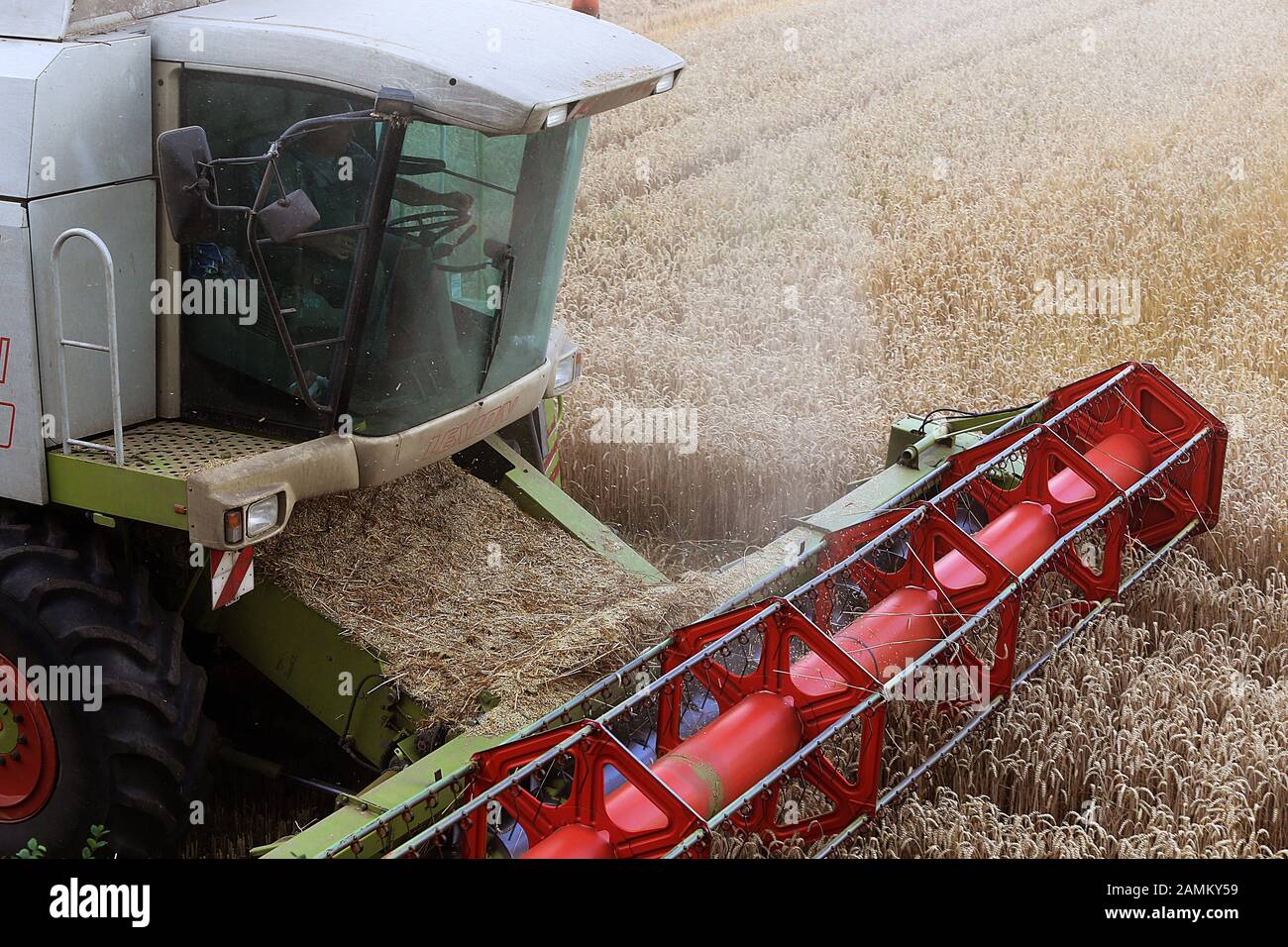 A combine harvester during the wheat harvest in the fields at Schinderkreppe in Dachau. [automated translation] Stock Photo