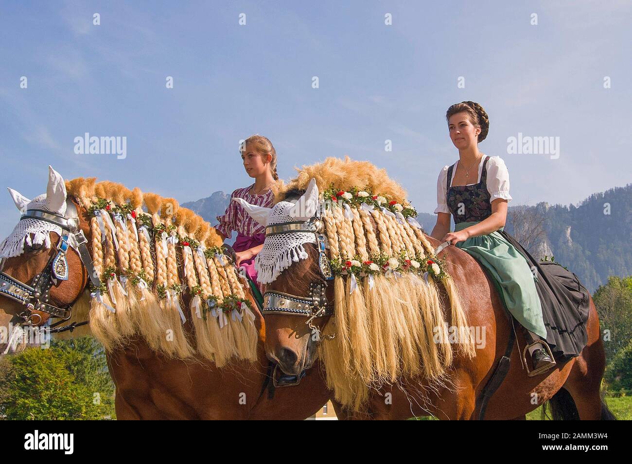 Michaeli-Ride in Inzell in Chiemgau, Upper Bavaria, every 4th Sunday in September, the beautifully groomed horses are blessed [automated translation] Stock Photo