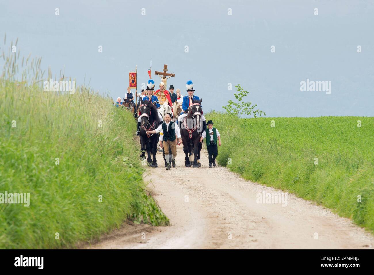 the traditional Leonhardiritt in Holzhausen - Teisendorf, Upper Bavaria, the ride is first mentioned in a document in 1612, the beautifully dressed horses are blessed, Germany [automated translation] Stock Photo