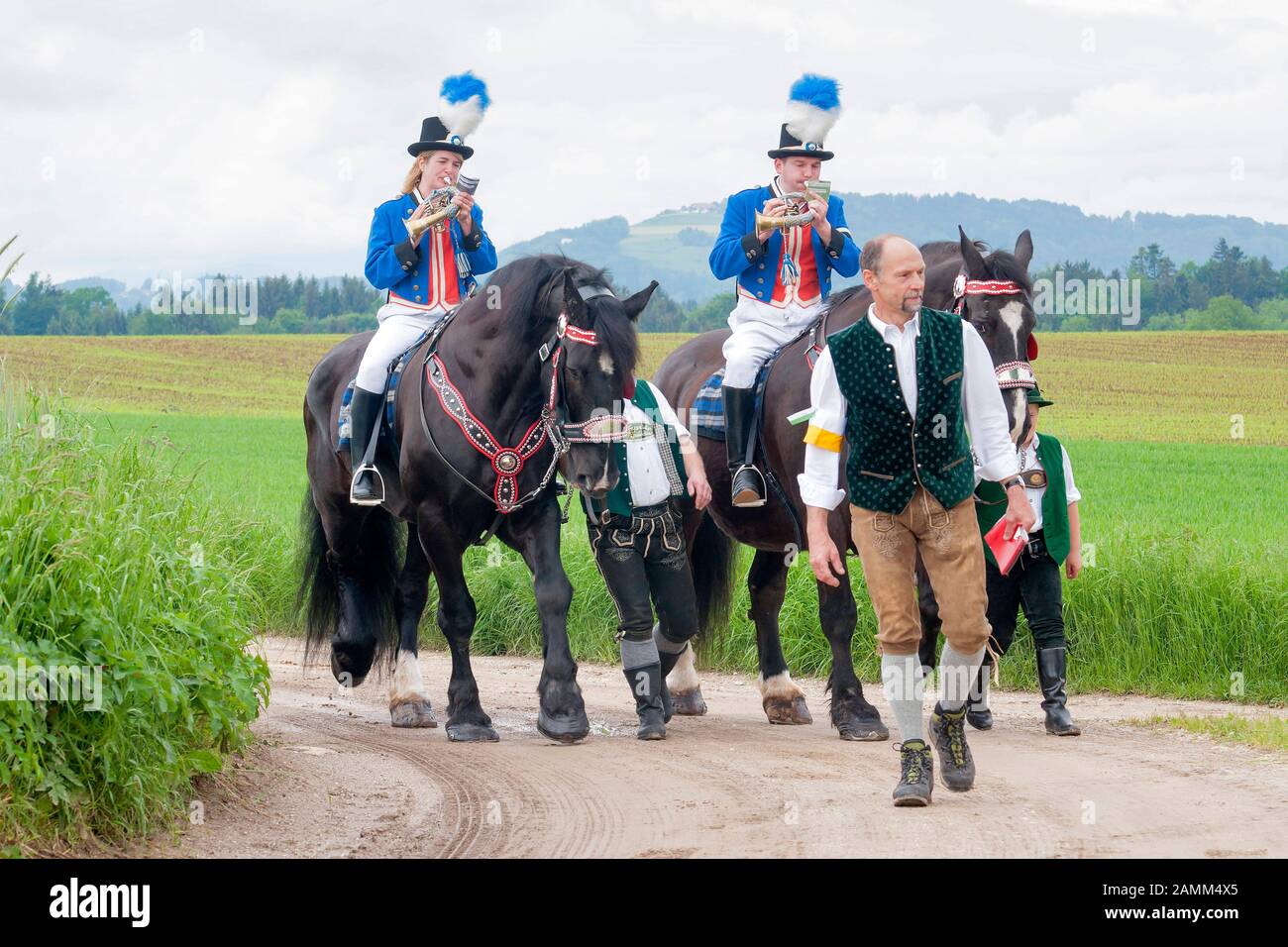the traditional Leonhardiritt in Holzhausen - Teisendorf, Upper Bavaria, the ride is first mentioned in a document in 1612, the beautifully dressed horses are blessed, Germany [automated translation] Stock Photo