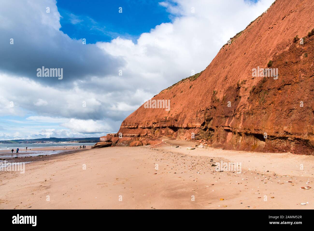 Cliff at Orcombe Point, Exmouth, Devon, UK Stock Photo