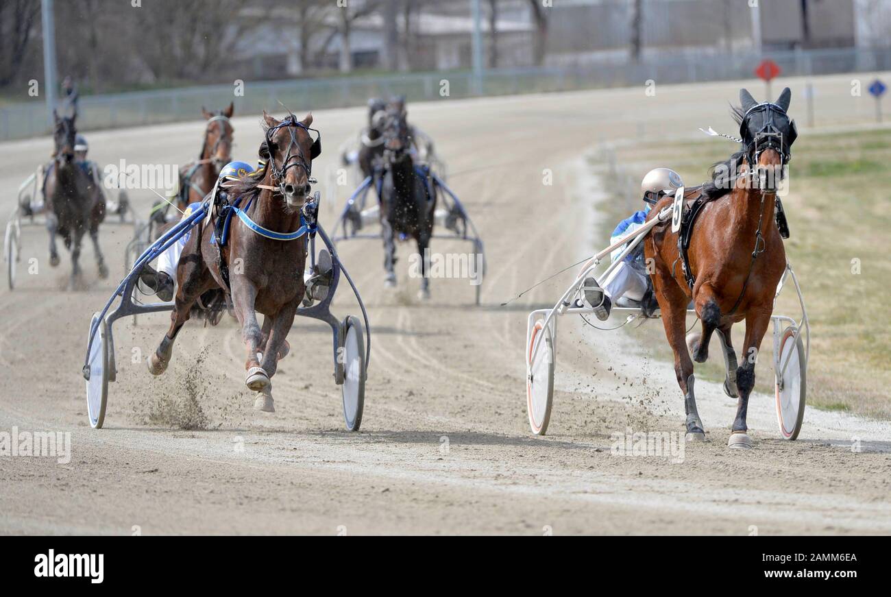 'Happy Easter' race at the trotting track in Daglfing: in the picture on the right the winning horse Peron Viking (No. 5) with driver Josef Franzl. [automated translation] Stock Photo