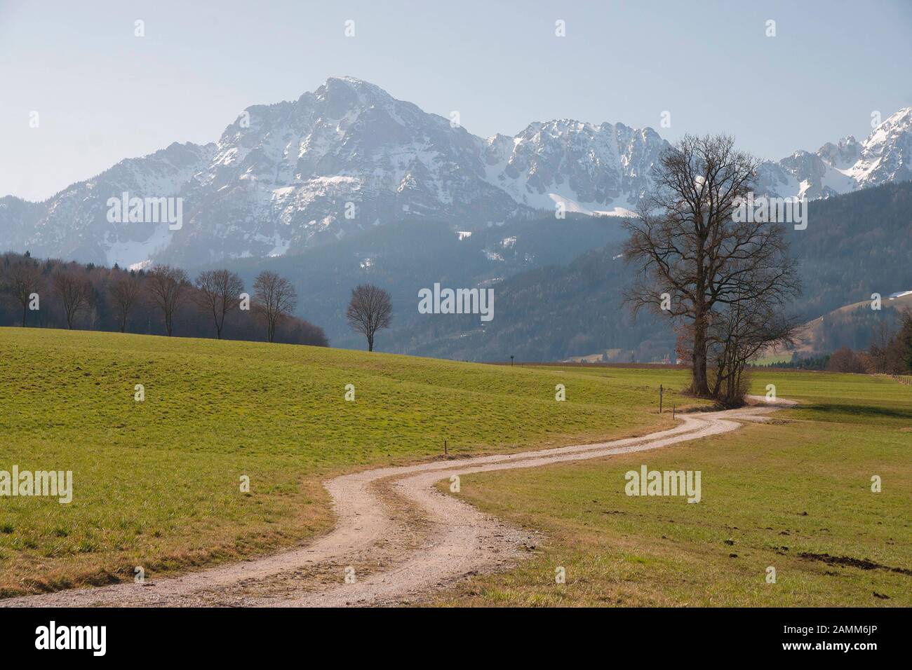View from Steinhoegl in the community of Anger to the Hochstaufen, a path winds its way beautifully through the meadows in early spring, Berchtesgadener Land, Bavaria [automated translation] Stock Photo