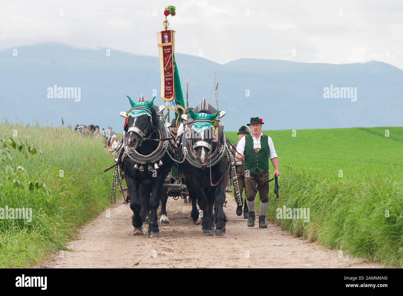 the traditional Leonhardiritt in Holzhausen - Teisendorf, Upper Bavaria, the ride is first mentioned in a document in 1612, the beautifully dressed horses are blessed, Germany [automated translation] Stock Photo