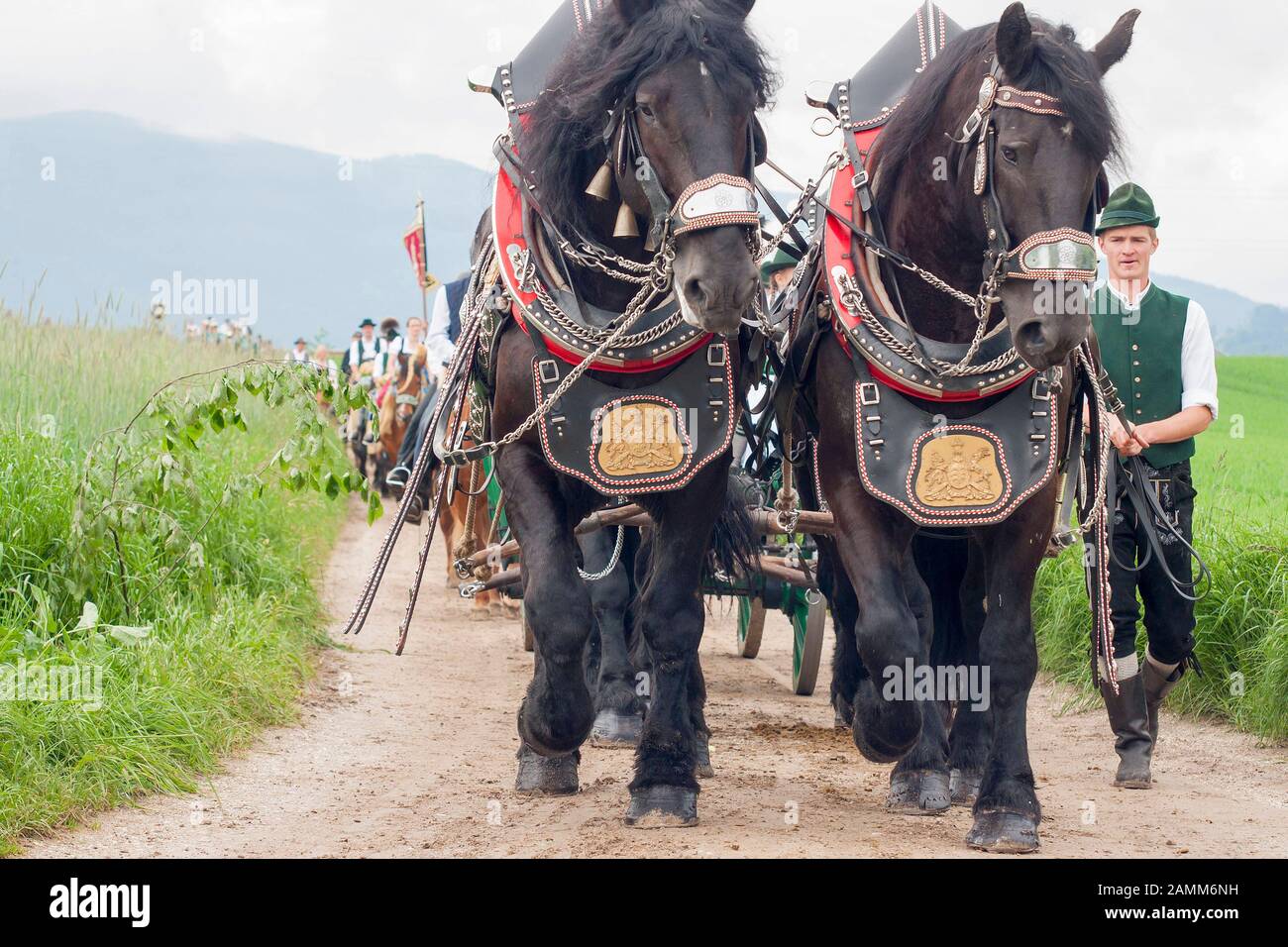 the traditional Leonhardiritt in Holzhausen - Teisendorf, Upper Bavaria, the ride is first mentioned in a document in 1612, the beautifully dressed horses are blessed, Germany [automated translation] Stock Photo