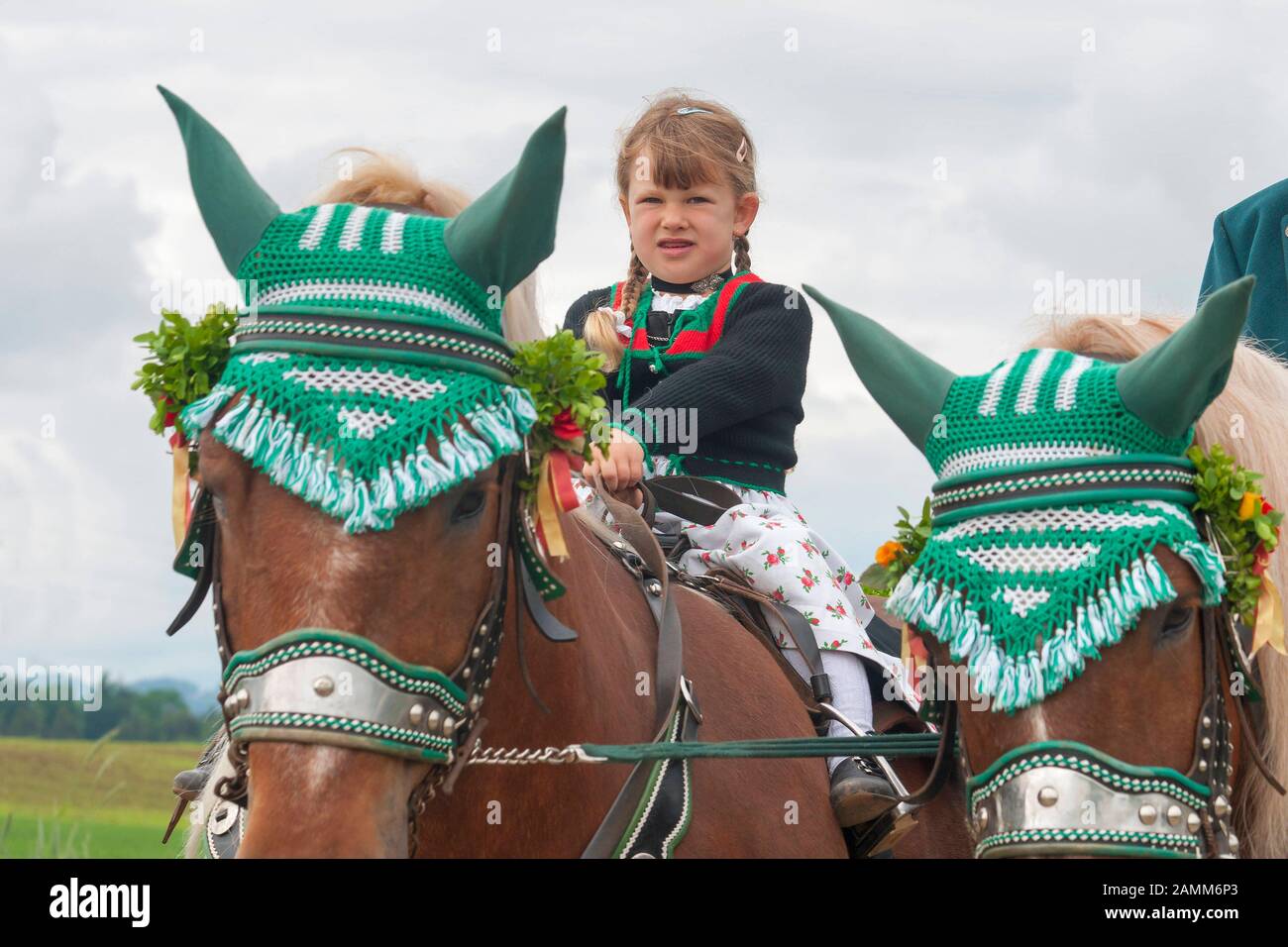 the traditional Leonhardiritt in Holzhausen - Teisendorf, Upper Bavaria, the ride is first mentioned in a document in 1612, the beautifully dressed horses are blessed, Germany [automated translation] Stock Photo