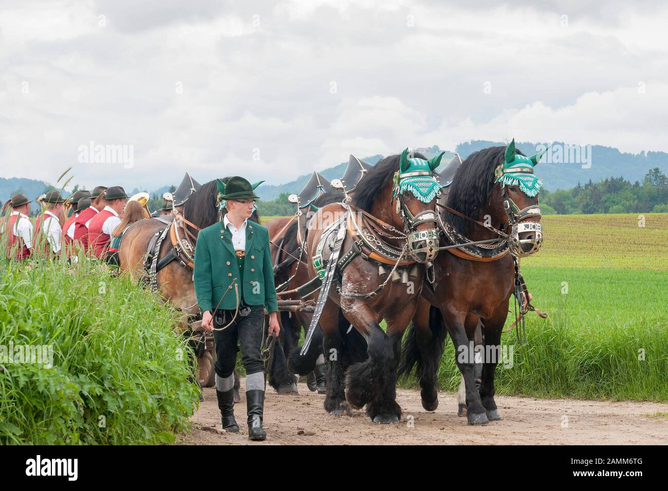 the traditional Leonhardiritt in Holzhausen - Teisendorf, Upper Bavaria, the ride is first mentioned in a document in 1612, the beautifully dressed horses are blessed, Germany [automated translation] Stock Photo