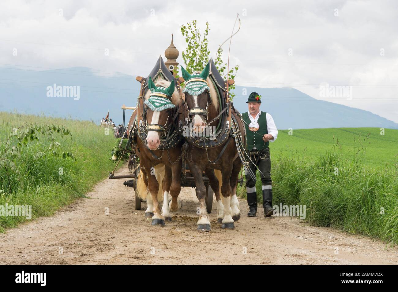 the traditional Leonhardiritt in Holzhausen - Teisendorf, Upper Bavaria, the ride is first mentioned in a document in 1612, the beautifully dressed horses are blessed, Germany [automated translation] Stock Photo