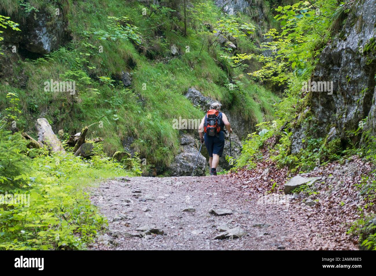 the Waldbahnwanderweg along the Schwarzache up to the Bäckinger-Klause and Harbach and Bichleralm (Schneizlreuth - Weibach a.d. Alpenstraße in the Berchtesgadener Land) [automated translation] Stock Photo