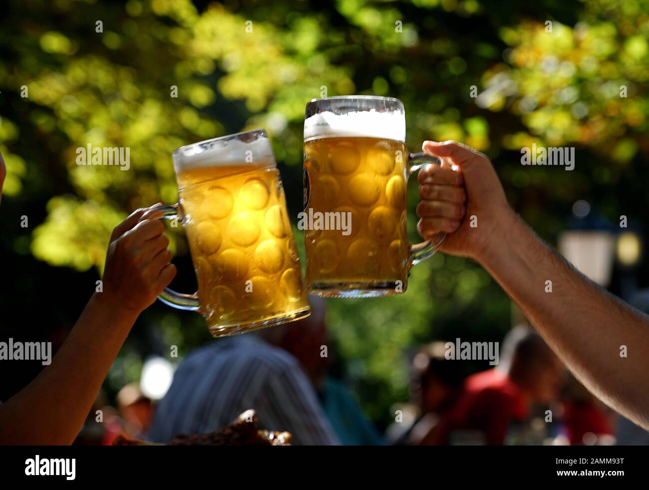 Cheers to the Aumeister beer garden in the English Garden in Munich
