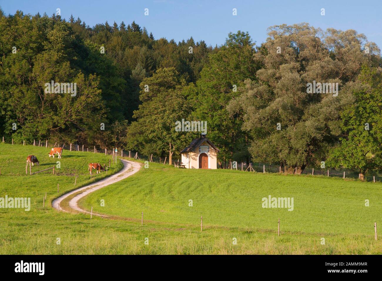 Chapel on the way from Jechling up to Café Sonnenhang - Gmd. Anger, Rupertiwinkel, Berchtesgadener Land, Bavaria, Germany [automated translation] Stock Photo