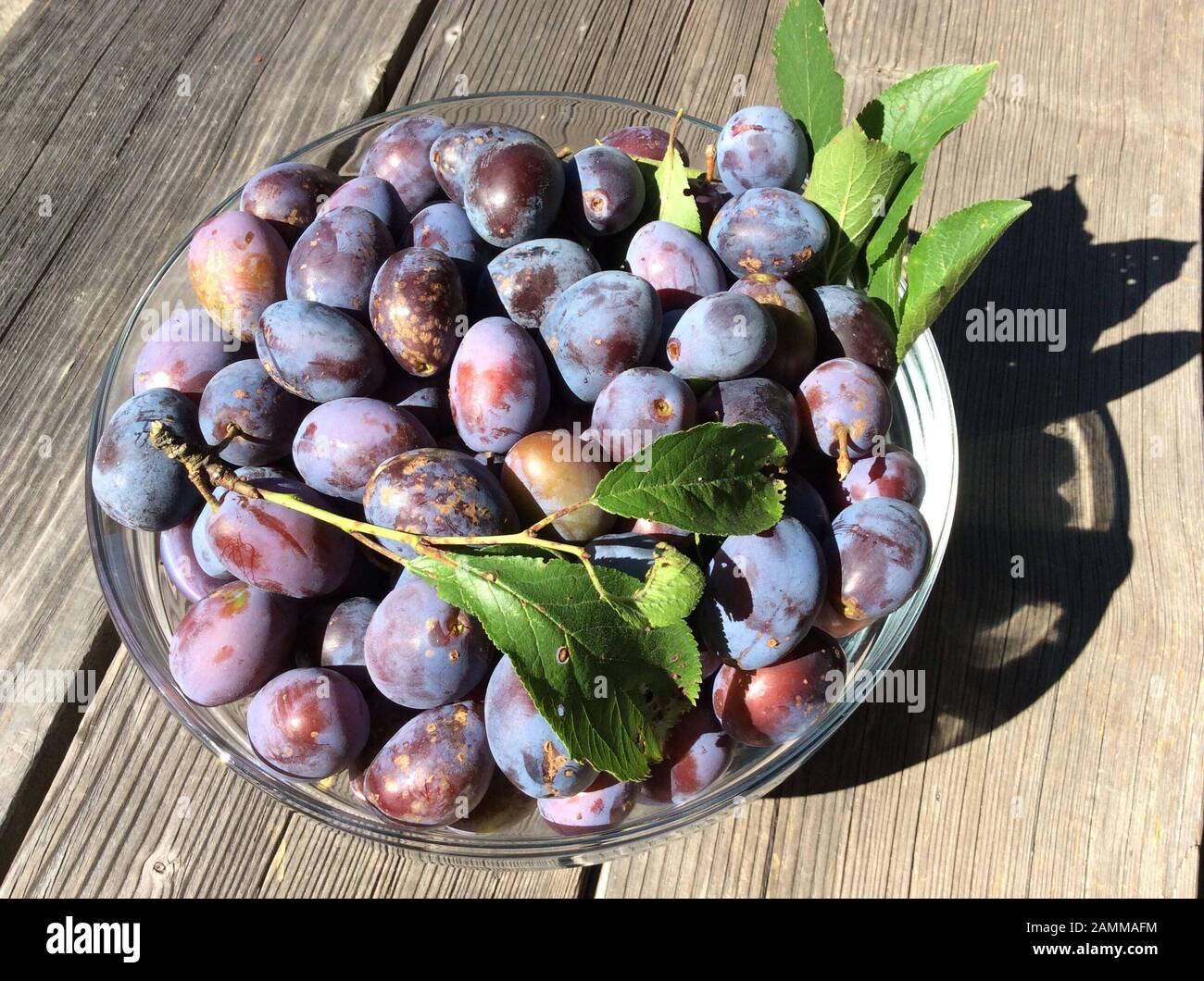 Glsschussel hires stock photography and images Alamy