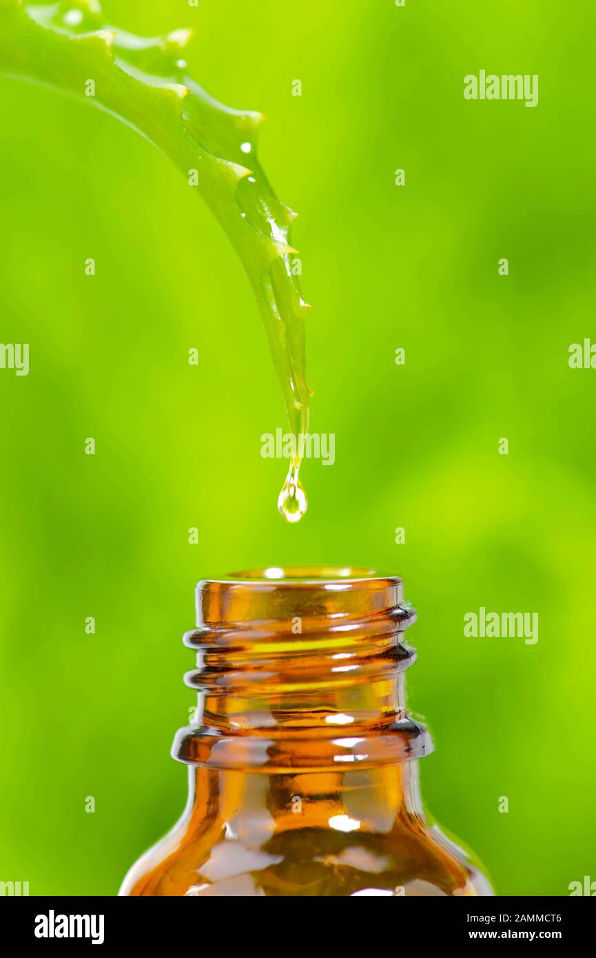 Drops of aloe vera as alternative medicine [automated translation] Stock Photo